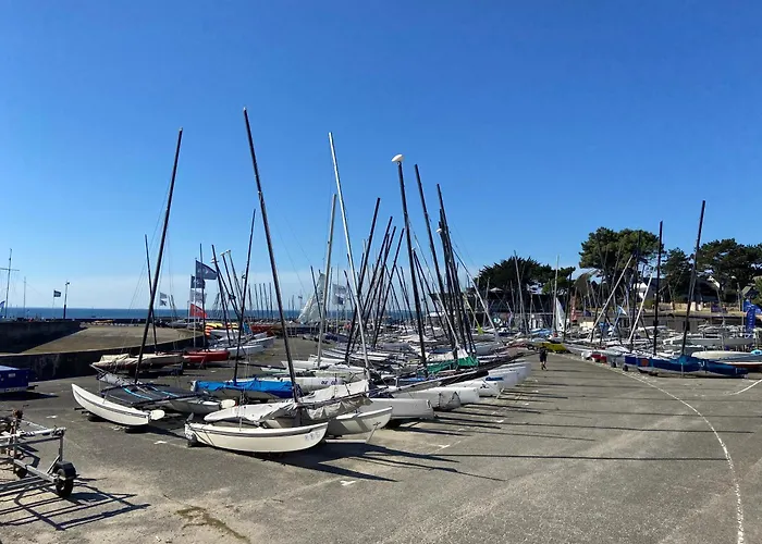 Oceania - Terrasse Couverte, Plage 500M - Dt10